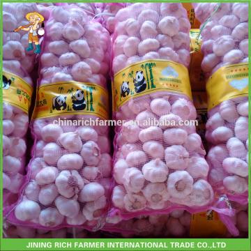 Rich Farmer Brand Fresh Garlic For Sale