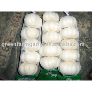 white garlic in mesh bag