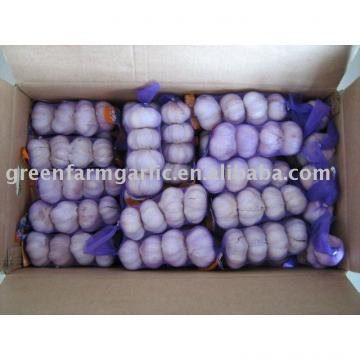 normal white garlic 200g in 10kg carton