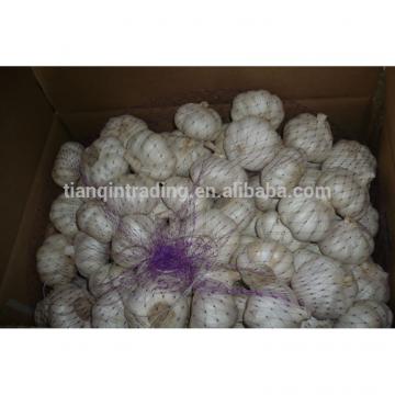 10kg carton garlic for Sale, 2014 Crop Garlic