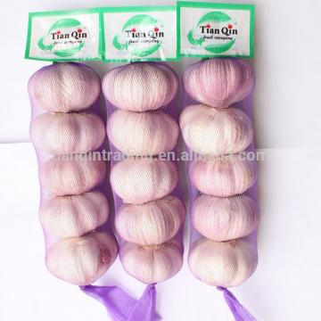 New Garlic Package