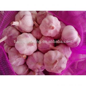 China Cheap Garlic in 10kg/bag or 20kg/bag