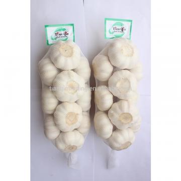 2014 Cold Room Garlic Supplier/Exporter of garlic