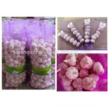 Hot Sale Garlic in China, Retail Garlic for Supermarket, Small packages