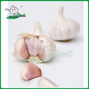 Garlic /Normal white garlic/Jinxiang Garlic