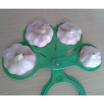 Purple garlic/Fresh garlic/Garlic price per ton from China