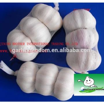 sell white garlic(5.0cm 3pcs mesh bag)