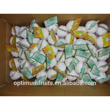 Bulk Jinxiang garlic for sale white garlic price