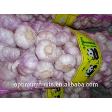 China Shandong normal white fresh red garlic size 5.0cm