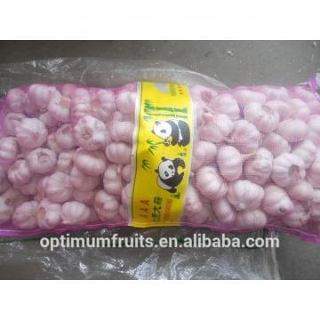 cina harga bawang putih