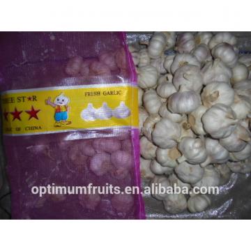 cina harga bawang putih