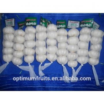 New crop fresh natural white garlic for sale