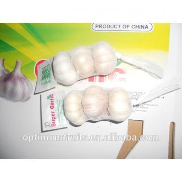 Normal white garlic size 5.0-5.5cm