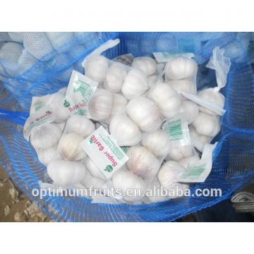 Normal white garlic size 5.0-5.5cm