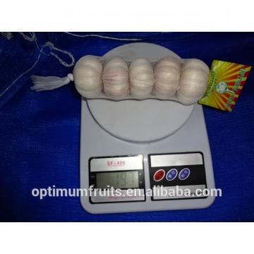 Global GAP CERTIFICATION Chinese fresh white garlic for sale