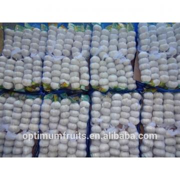 Global GAP CERTIFICATION Chinese fresh white garlic for sale