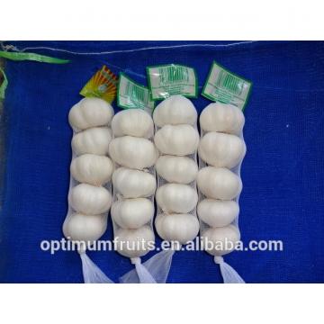 China high quality fresh garlic with competitive price