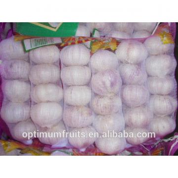 China high quality fresh garlic with competitive price