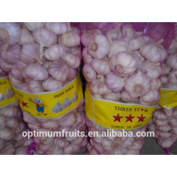 Natural high quality fresh white garlic