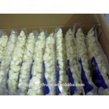 Fresh peeled garlic from China