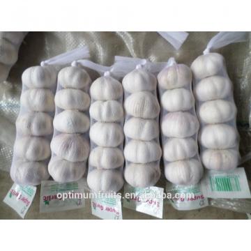 Fresh Natural white garlic in small mesh bag packing