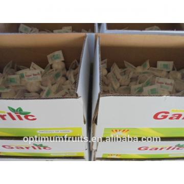 Fresh Natural white garlic in small mesh bag packing