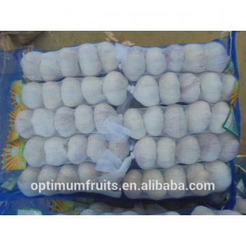 China origin wholesale garlic price