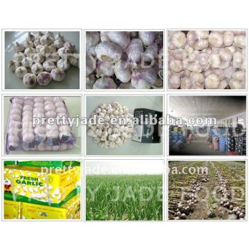 fresh garlic for sale