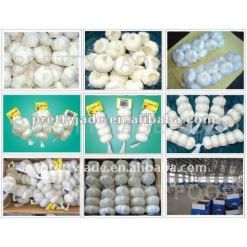 fresh white garlic exporters in China