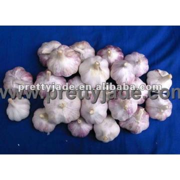 garlic supplier from china