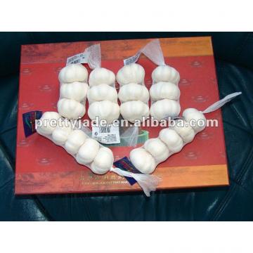 white garlic exporter from china