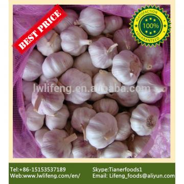 Best Price and Quality 2017 New Crop of Chinese White Garlic / Fresh Garlic