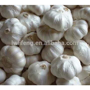 2017 chinese perfect quality pure white garlic