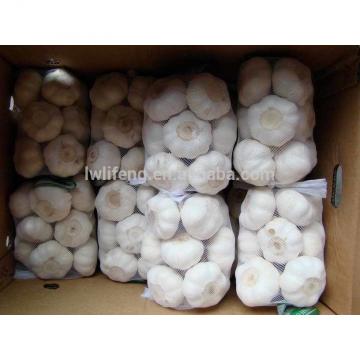 2017 chinese perfect quality pure white garlic