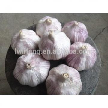 2017 new crop of chinese normal white garlic