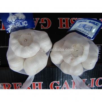 High Quality Chinese fresh White Garlic for sale / Pure White Garlic