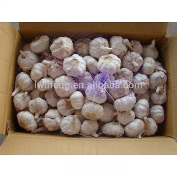 Most Favourable of 2017 Shandong Garlic / Jinxiang Garlic / Normal White Garlic