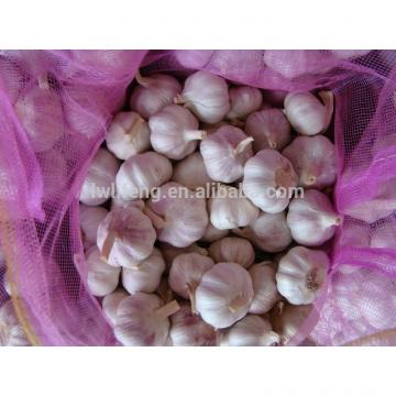 Best Price of 2017 New Crop of Chinese Normal White Garlic