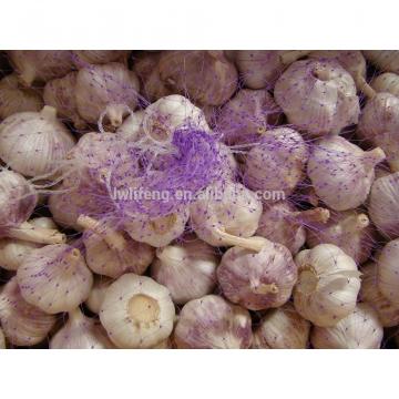 2017 New Crop of Chinese Garlic for Sale