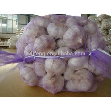 2017 New Crop of Chinese Garlic for Sale