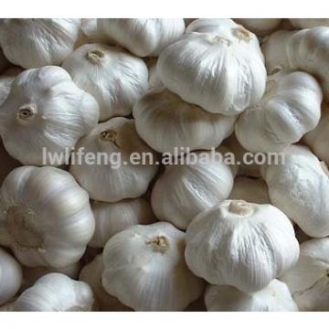 top quality White Garlic / fresh Garlic / Chinese garlic