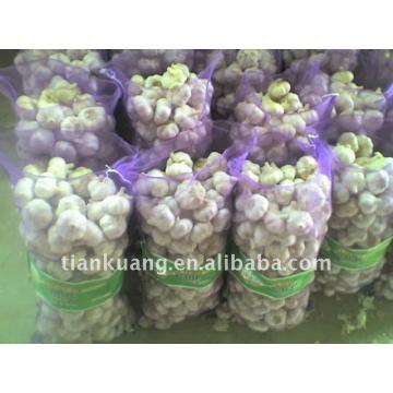 high quality Chinese normal garlic