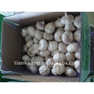 china garlic supplier