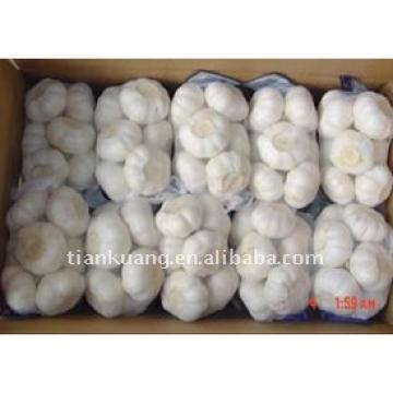 China pure white garlic