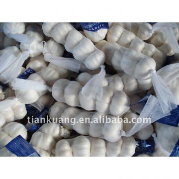 2011 china export garlic