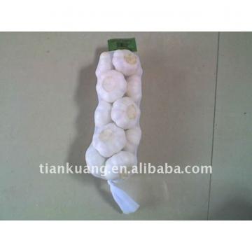 6cm pure white garlic