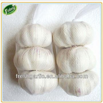 china natural fresh pure white garlic