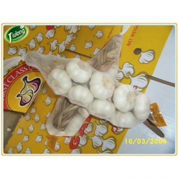 Buy direct from china factory natural garlic price