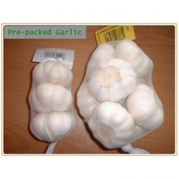 Buy direct from china factory natural garlic price