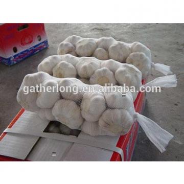 New Crop Garlic with Factory Price in own Plant